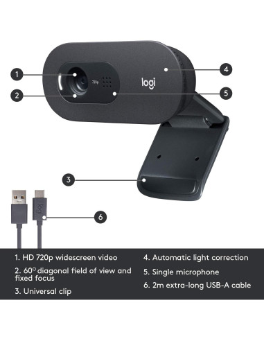 Webcam Logitech C505 HD 720p con micrófono - Renovada