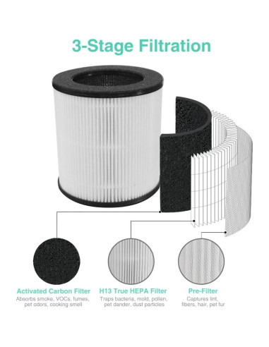 Filtro de Reemplazo Tailulu D09 HEPA H13 3-en-1 198g