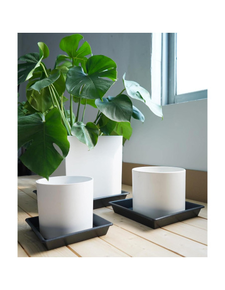 Plato Cuadrado para Plantas 15 cm NIMYAU - Paquete de 5 Plato Cuadrado para Plantas 15 cm NIMYAU - Paquete de 5