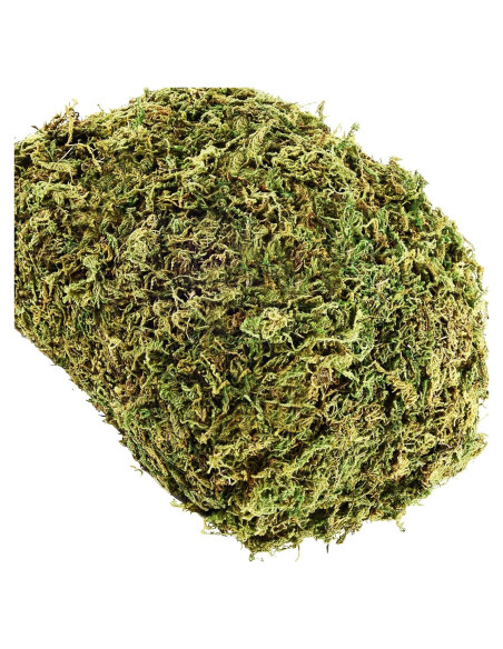 Musgo Artificial Cigoby 10.2 OZ para Jardineras y Manualidades Musgo Artificial Cigoby 10.2 OZ para Jardineras y Manualidades