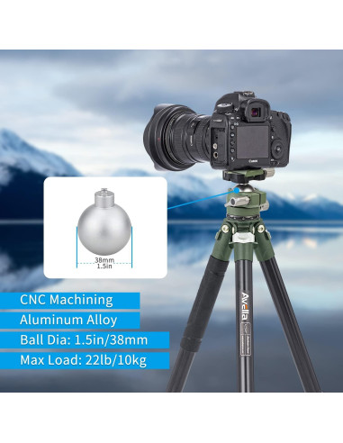 Cabeza de Trípode Avella V1 38mm 360 para DSLR