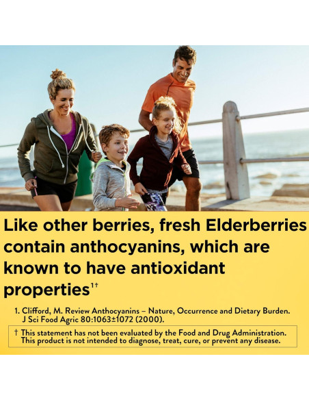 Elderberry Nature Made 400 mg con Vitamina C y Zinc - 60 Cápsulas Elderberry Nature Made 400 mg con Vitamina C y Zinc - 60 Cápsulas