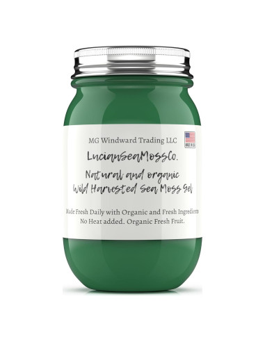 Gel de Musgo Marino Orgánico 450g Chlorella - Cosechado en EE.UU.