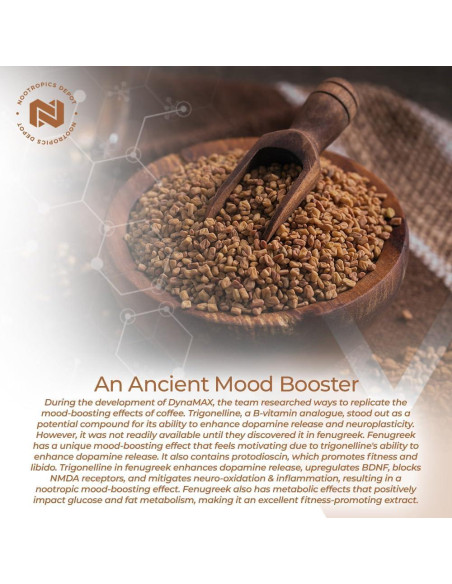 Cápsulas de Fenogreco Nootropics Depot 500mg 60 unidades Cápsulas de Fenogreco Nootropics Depot 500mg 60 unidades
