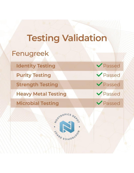 Cápsulas de Fenogreco Nootropics Depot 500mg 60 unidades Cápsulas de Fenogreco Nootropics Depot 500mg 60 unidades