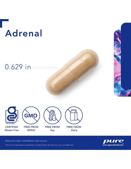 Suplemento Adrenal Pure Encapsulations 60 Cápsulas - Apoyo Cortisol y Energía Suplemento Adrenal Pure Encapsulations 60 Cápsulas - Apoyo Cortisol y Energía