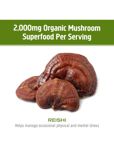 Polvo de Hongo Reishi Orgánico OM 99.22g - Adaptógeno Inmunológico