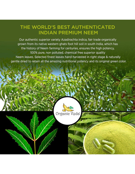 Cápsulas de Neem Orgánico Veda 1000mg - 120 Veganas para Piel y Inmunidad Cápsulas de Neem Orgánico Veda 1000mg - 120 Veganas para Piel y Inmunidad