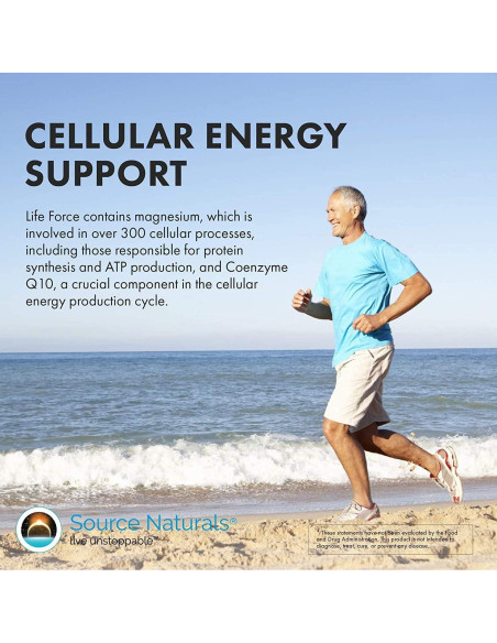 Multivitamina Diaria Alta Potencia Source Naturals 60 Cápsulas Multivitamina Diaria Alta Potencia Source Naturals 60 Cápsulas