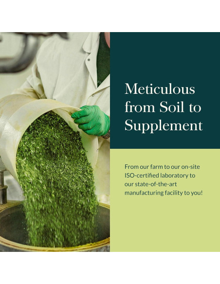 Suplemento Herbal Gaia Herbs Salud Adrenal 60 Cápsulas Suplemento Herbal Gaia Herbs Salud Adrenal 60 Cápsulas