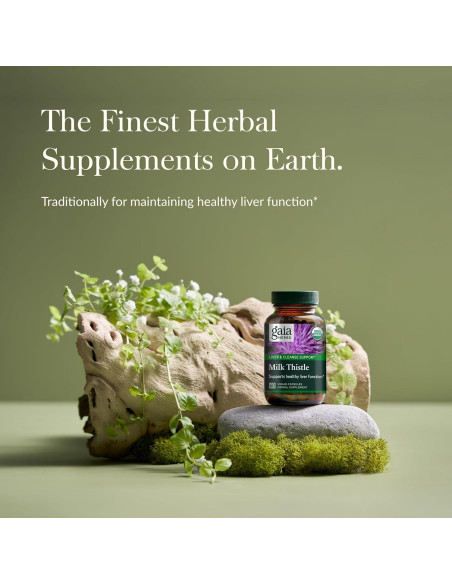 Suplemento Hepático Gaia Herbs Cardo Mariano 60 Cápsulas Veganas Suplemento Hepático Gaia Herbs Cardo Mariano 60 Cápsulas Veganas