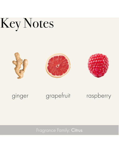 Crema de Manos LAFCO Nueva York Champán 340g Hipoalergénica