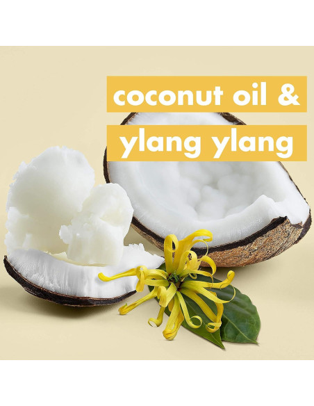 Dúo Champú y Acondicionador Amor Belleza y Planeta 400 ml Dúo Champú y Acondicionador Amor Belleza y Planeta 400 ml