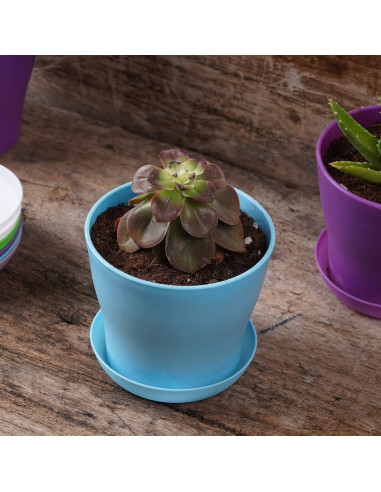 Macetas de Plástico TDHDIKE 10 Pcs con Drenaje 9.7 cm