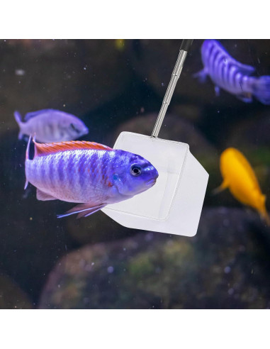Red para Acuario Hariendny 6.5cm Mango Retráctil Negro