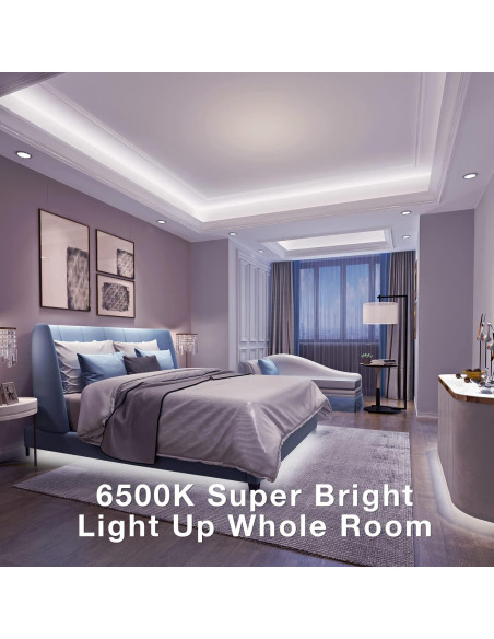 Tira de LED Regulable dalattin 6.1m 24V 6500K Blanca Tira de LED Regulable dalattin 6.1m 24V 6500K Blanca