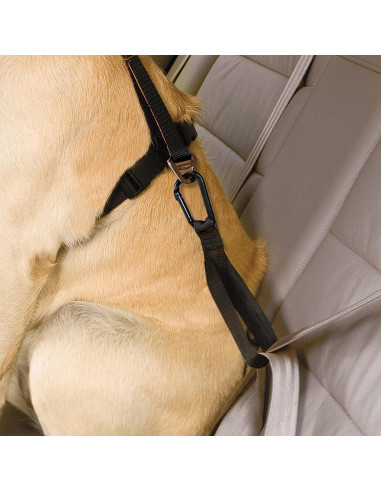 Cinturón de Seguridad para Perros Kurgo Tru-Fit Negro/Grey