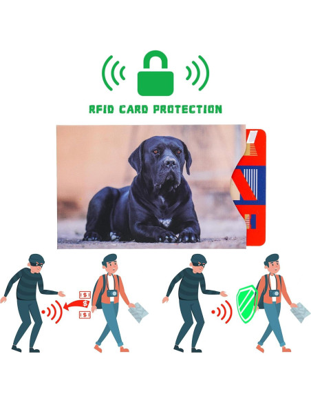 Estune 54 Fundas Bloqueadoras RFID para Tarjetas de Crédito Estune 54 Fundas Bloqueadoras RFID para Tarjetas de Crédito