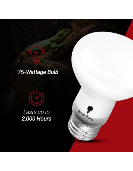 Paquete de 4 bombillas de calor 75W Bluex Bulbs para reptiles Paquete de 4 bombillas de calor 75W Bluex Bulbs para reptiles