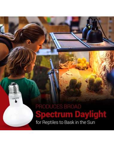 Paquete de 4 bombillas de calor 75W Bluex Bulbs para reptiles