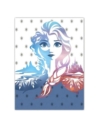 Manta de Landa Disney Frozen Elsa y Anna 100x150 cm