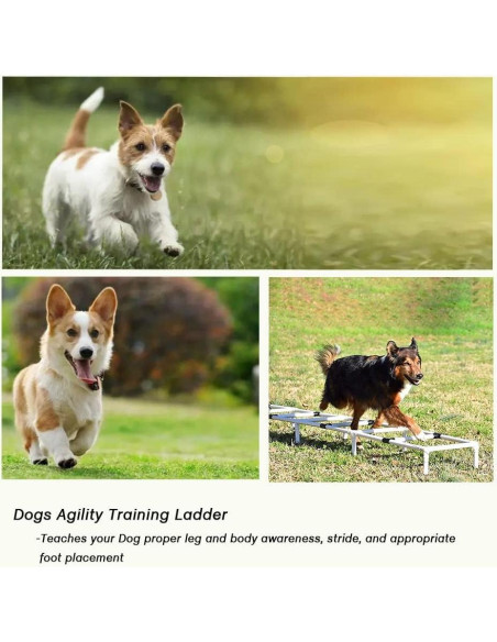 Escalera de Agilidad para Perros PLKO - Entrenamiento Exterior Escalera de Agilidad para Perros PLKO - Entrenamiento Exterior