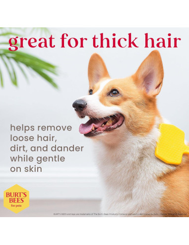 Cepillo Slicker Pequeño Burt's Bees para Perros de Pelo Grueso