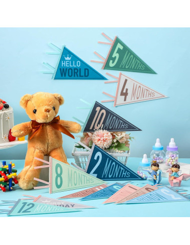Banderas de Hito Mensual para Bebés VitalCozy - 14 Pcs Fieltro