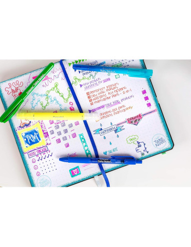 Bolígrafos de Gel Lavables Crayola Take Note 14 Colores