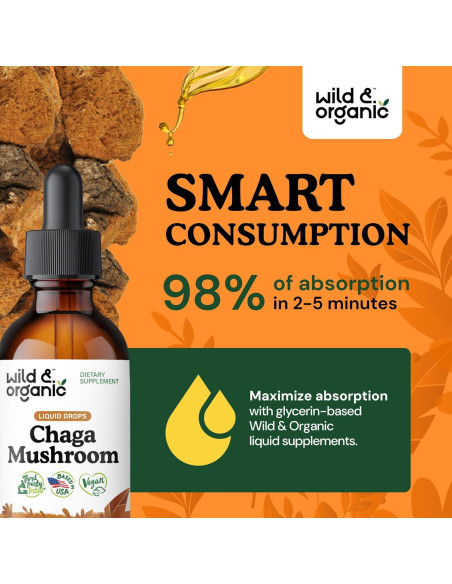 Tinte de Hongo Chaga Silvestre y Orgánico 59 ml - Inmunidad Vegano Tinte de Hongo Chaga Silvestre y Orgánico 59 ml - Inmunidad Vegano