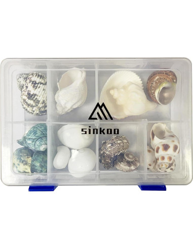 Conchas de Cangrejo Ermitaño SINKOO 17PCS Tamaño 1.5-4.1 cm