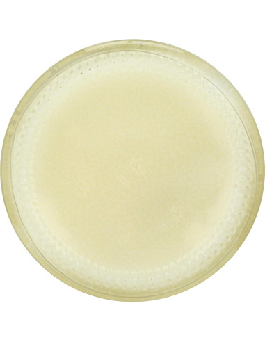 Ungüento Antiséptico Natural Tea Tree Therapy 56.7g