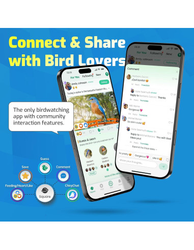 Comedero Inteligente para Aves RichBird con Cámara 2K HD