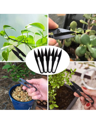 Tijeras de Poda de Bonsai Sago Brothers 5 Pcs Acero Inoxidable