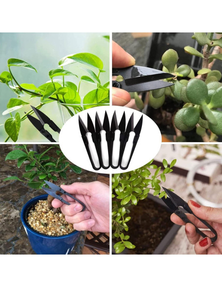 Tijeras de Poda de Bonsai Sago Brothers 5 Pcs Acero Inoxidable Tijeras de Poda de Bonsai Sago Brothers 5 Pcs Acero Inoxidable
