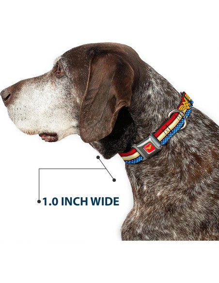 Collar de Perro Buckle-Down Wonder Woman 9-15 cm Multicolor Collar de Perro Buckle-Down Wonder Woman 9-15 cm Multicolor