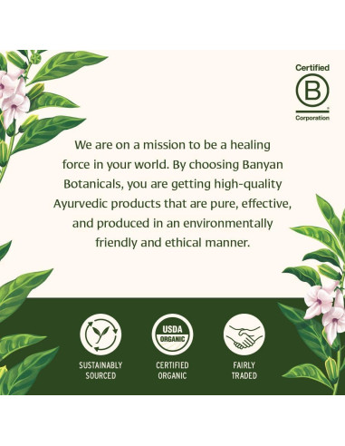 Polvo de Dientes Sin Sabor Banyan Botanicals Menta 21g