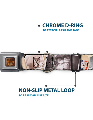 Collar para Perros Disney Buckle-Down 24.1-33 cm 2.54 cm Ancho