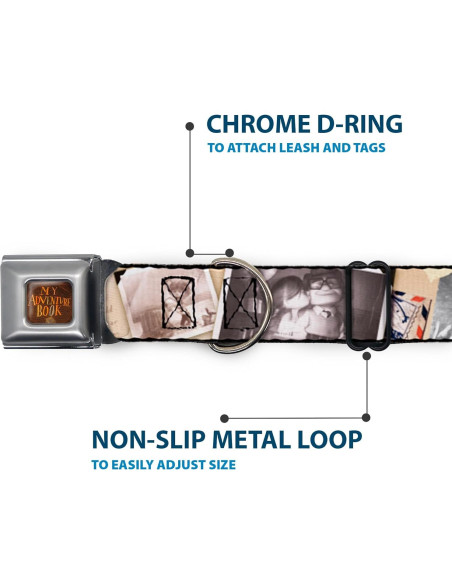 Collar para Perros Disney Buckle-Down 24.1-33 cm 2.54 cm Ancho