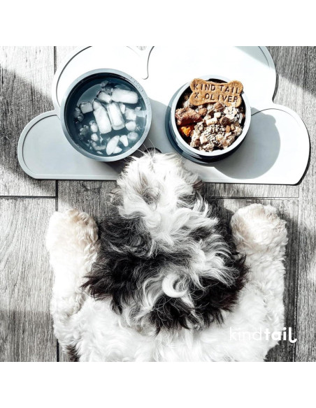 Comedero Portátil para Mascotas KindTail, 2 Cuencos Apilables 0.3L y 0.6L