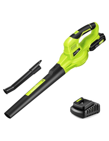 Soplador de Hojas Inalámbrico SnapFresh 20V 140CFM Verde