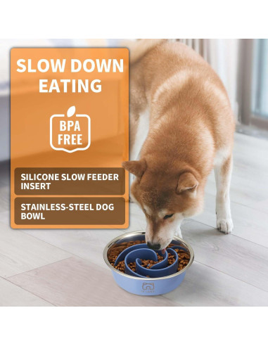 Cuenco para Perros 2-en-1 Bestalk Acero Inoxidable Antideslizante
