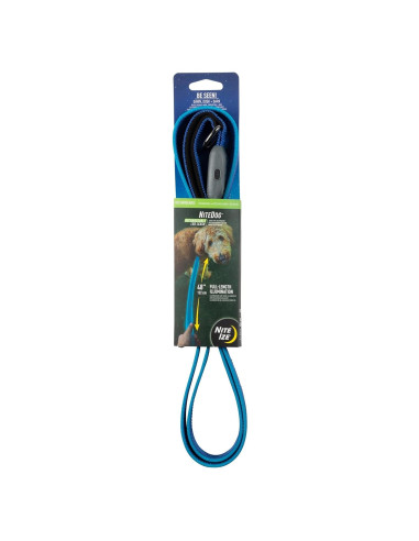 Correa LED Recargable Nite Ize NiteDog 1.52m Azul