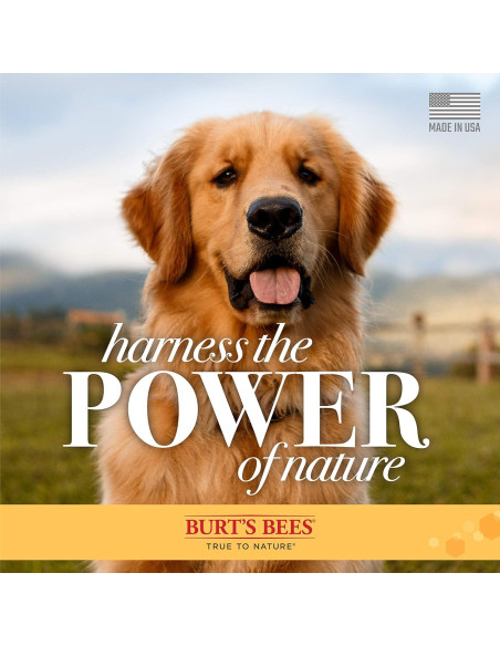 Champú Calmante para Perros Burt's Bees 473 ml - Lavanda y Té Verde Champú Calmante para Perros Burt's Bees 473 ml - Lavanda y Té Verde