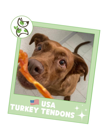 Tendones de Pavo USA Nature Gnaws 113.4g - Snack Natural para Perros