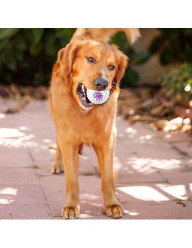 Pelota de Juguete para Perros Petstages Nubbiez 9cm