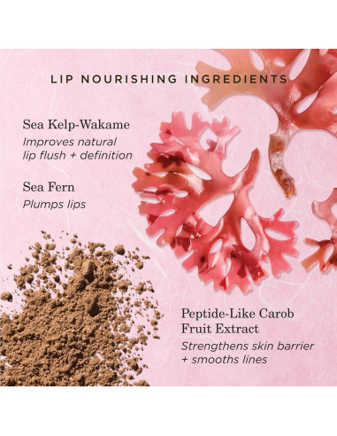 Conjunto de Labios Tatcha: Exfoliante, Tratamiento y Tinte