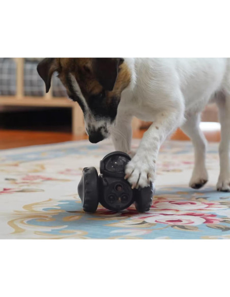 Juguete Interactivo para Perros y Gatos GRETEGO G&GO Negro Juguete Interactivo para Perros y Gatos GRETEGO G&GO Negro