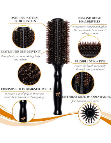 Conjunto de Cepillos Belula - Cerda de Jabalí 6.1 cm para Cabello