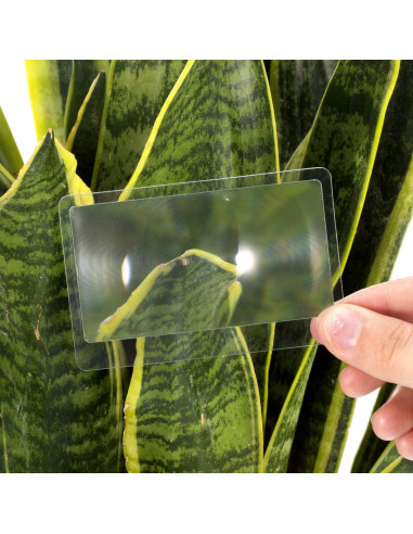 Lente Fresnel Hestya 3X Portátil para Lectura y Joyería